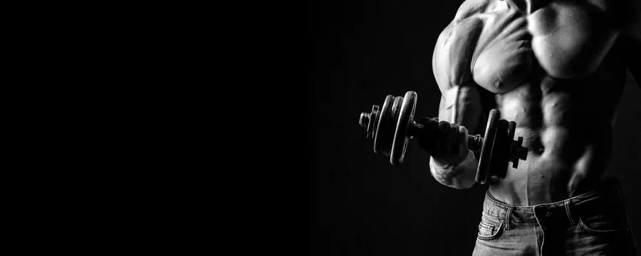 EL BIG NUTRITION