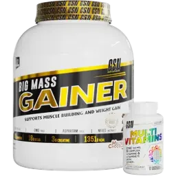BIG MASS GAINER + MULTI Vitamine